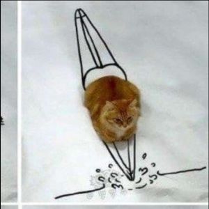 Meet your Posher, Ruben